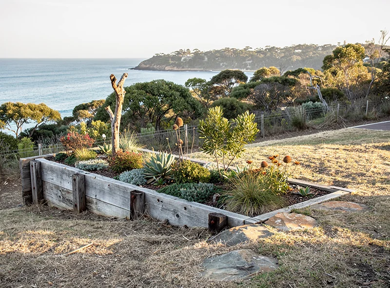 A Palm Beach headland block with collapsing sleeper wall, salt-burnt lawn, and bare sandy soil
